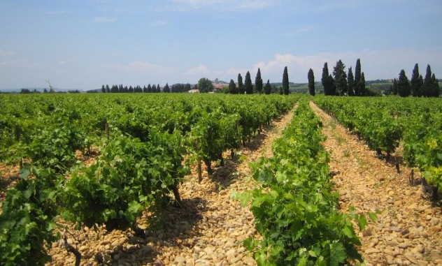 教皇新堡--石头也是宝